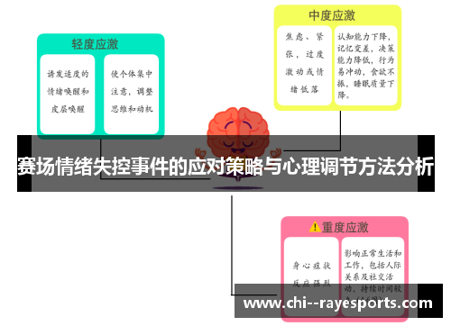 赛场情绪失控事件的应对策略与心理调节方法分析