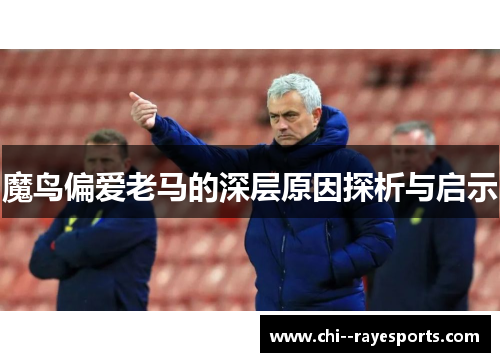 魔鸟偏爱老马的深层原因探析与启示 魔鸟偏爱老马的深层原因探析与启示