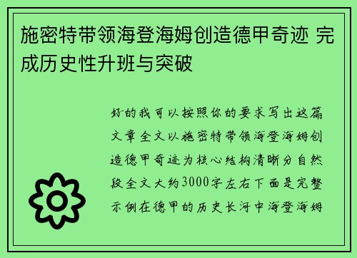 施密特带领海登海姆创造德甲奇迹 完成历史性升班与突破